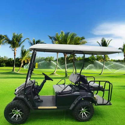 Type A 2-seater golf cart, stylish appearance, super long lithium battery