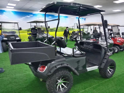 Type A 2-seater golf cart, stylish appearance, super long lithium battery
