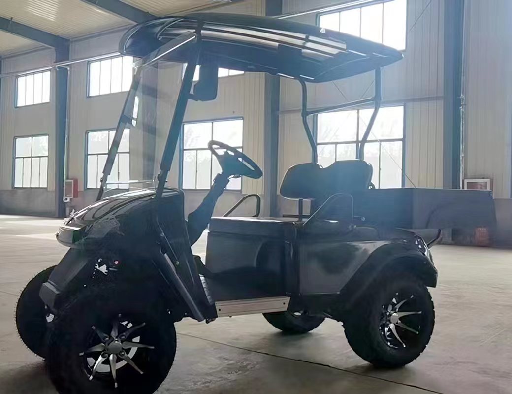 Type A 2-seater golf cart, stylish appearance, super long lithium battery