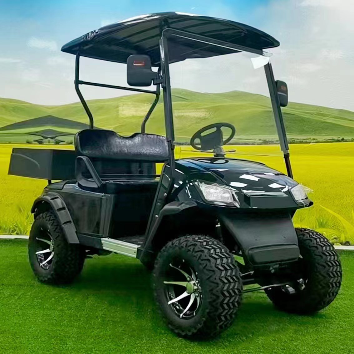 Type A 2-seater golf cart, stylish appearance, super long lithium battery