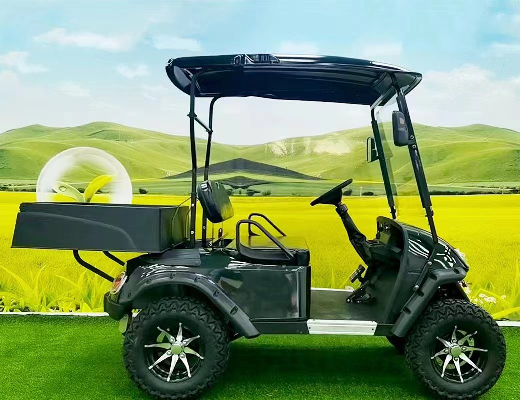 Type A 2-seater golf cart, stylish appearance, super long lithium battery
