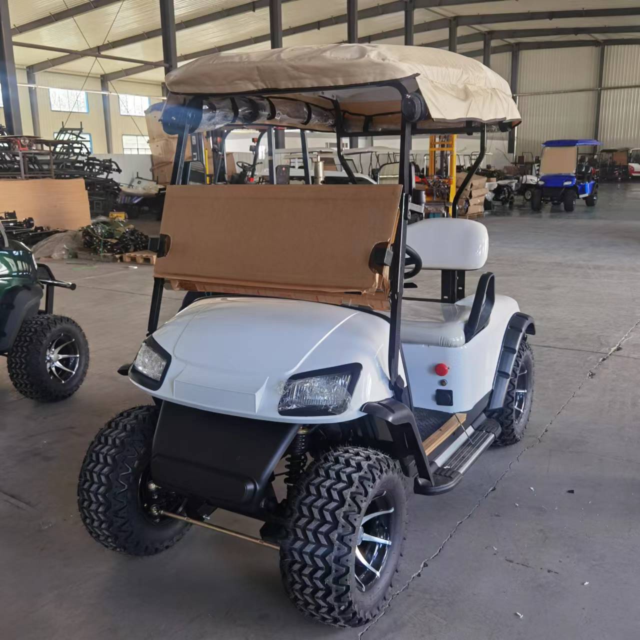 Type A 2-seater golf cart, stylish appearance, super long lithium battery