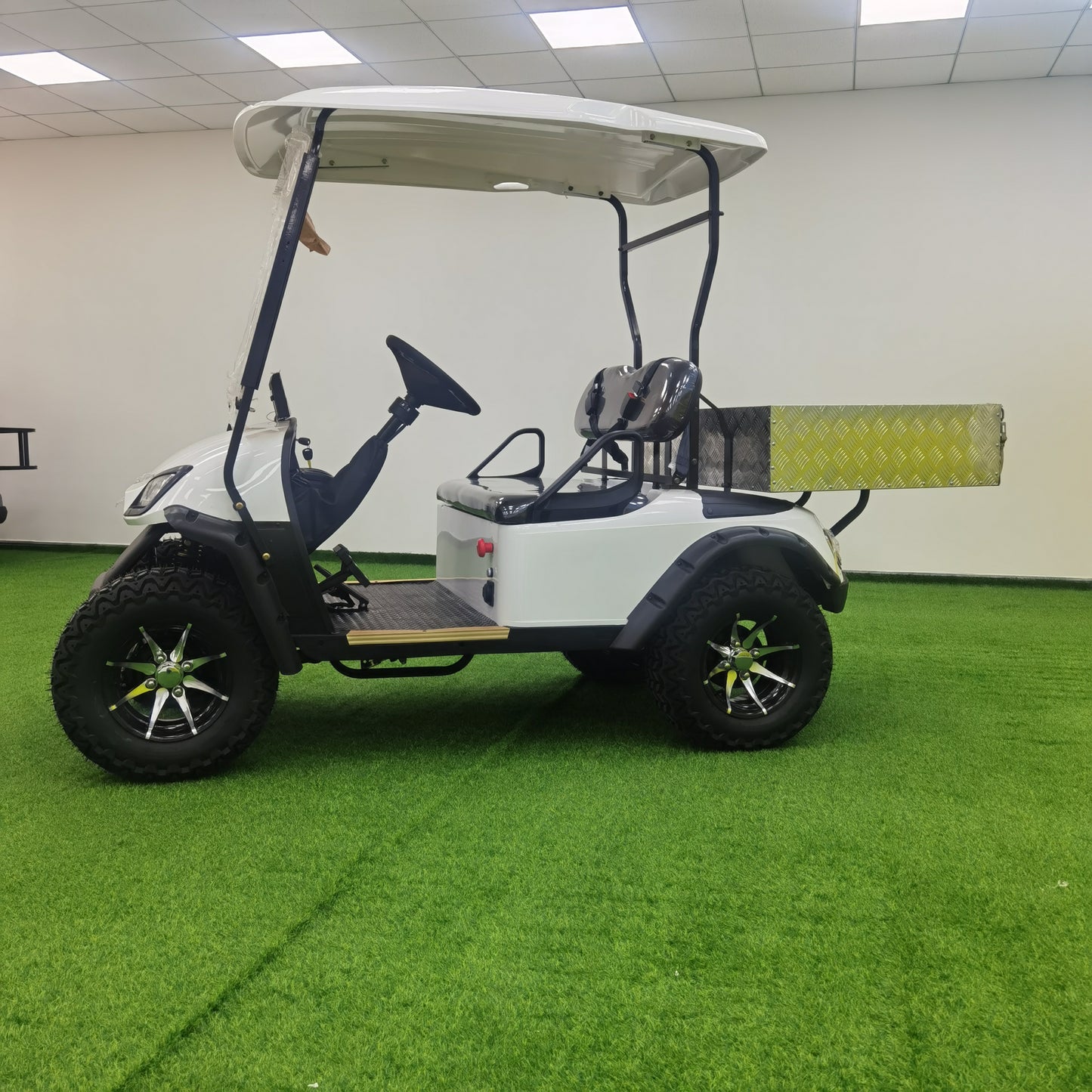Type A 2-seater golf cart, stylish appearance, super long lithium battery