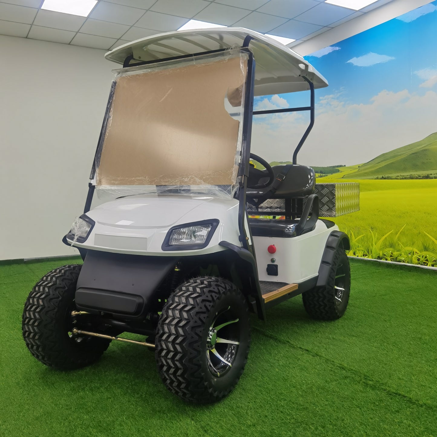 Type A 2-seater golf cart, stylish appearance, super long lithium battery