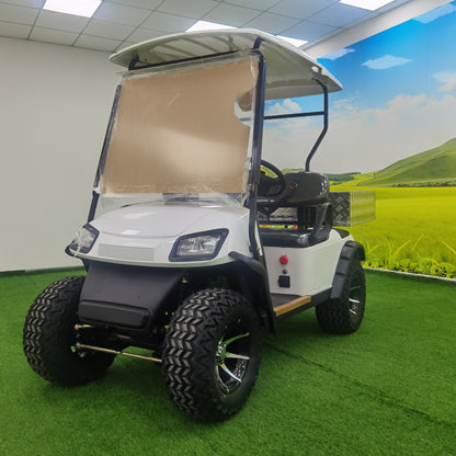 Type A 2-seater golf cart, stylish appearance, super long lithium battery