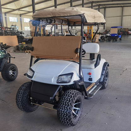 Type A 2-seater golf cart, stylish appearance, super long lithium battery