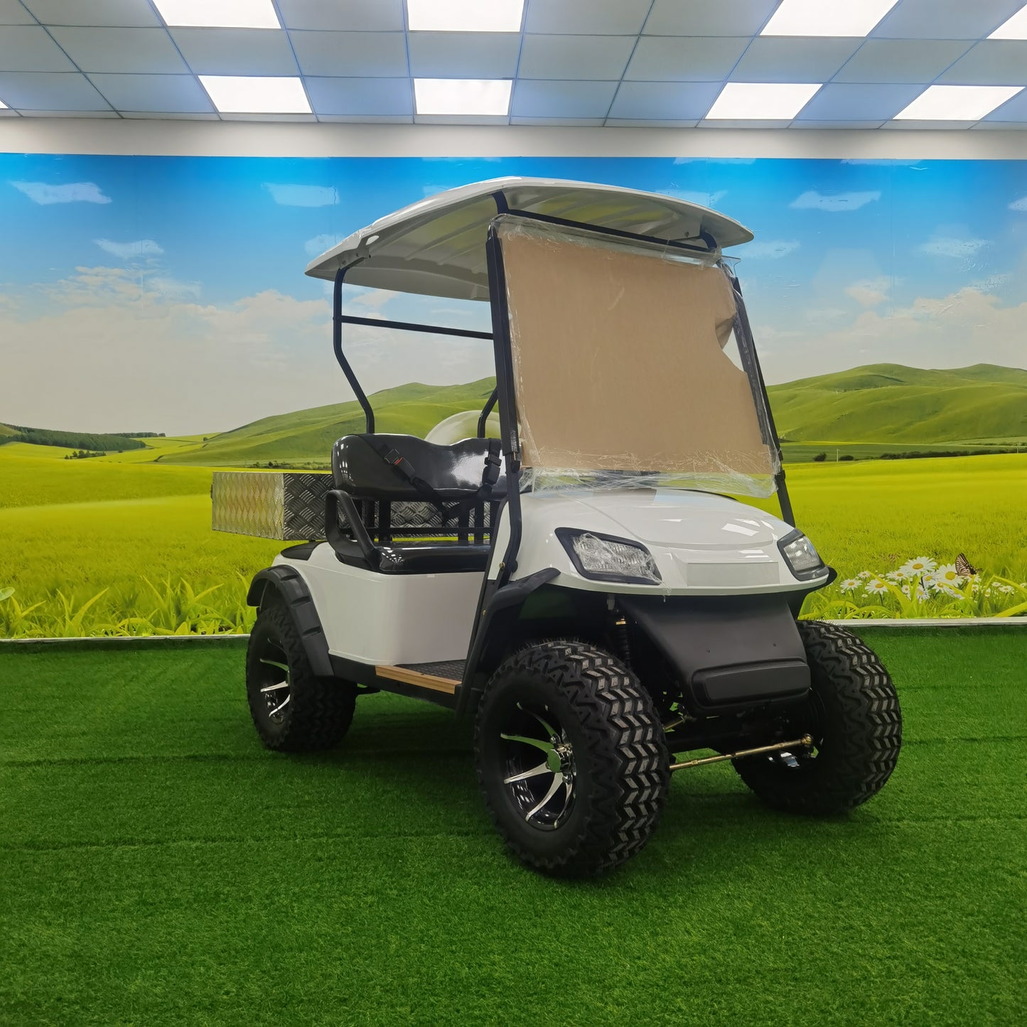 Type A 2-seater golf cart, stylish appearance, super long lithium battery