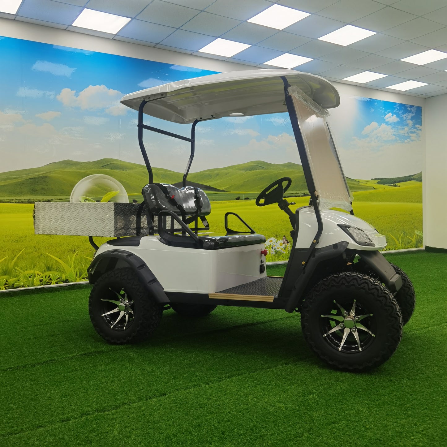 Type A 2-seater golf cart, stylish appearance, super long lithium battery