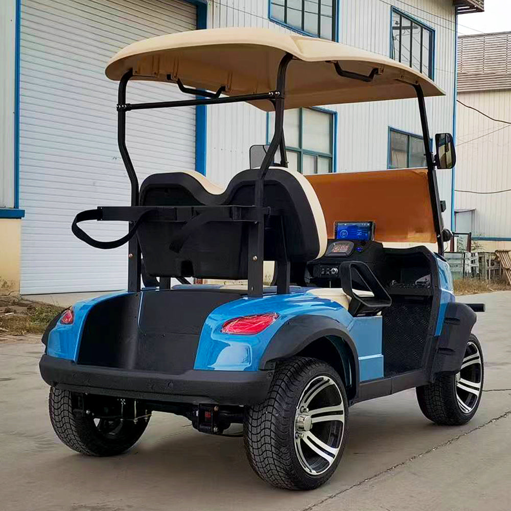 Type B 2-seater golf cart, stylish appearance, super long lithium batte.