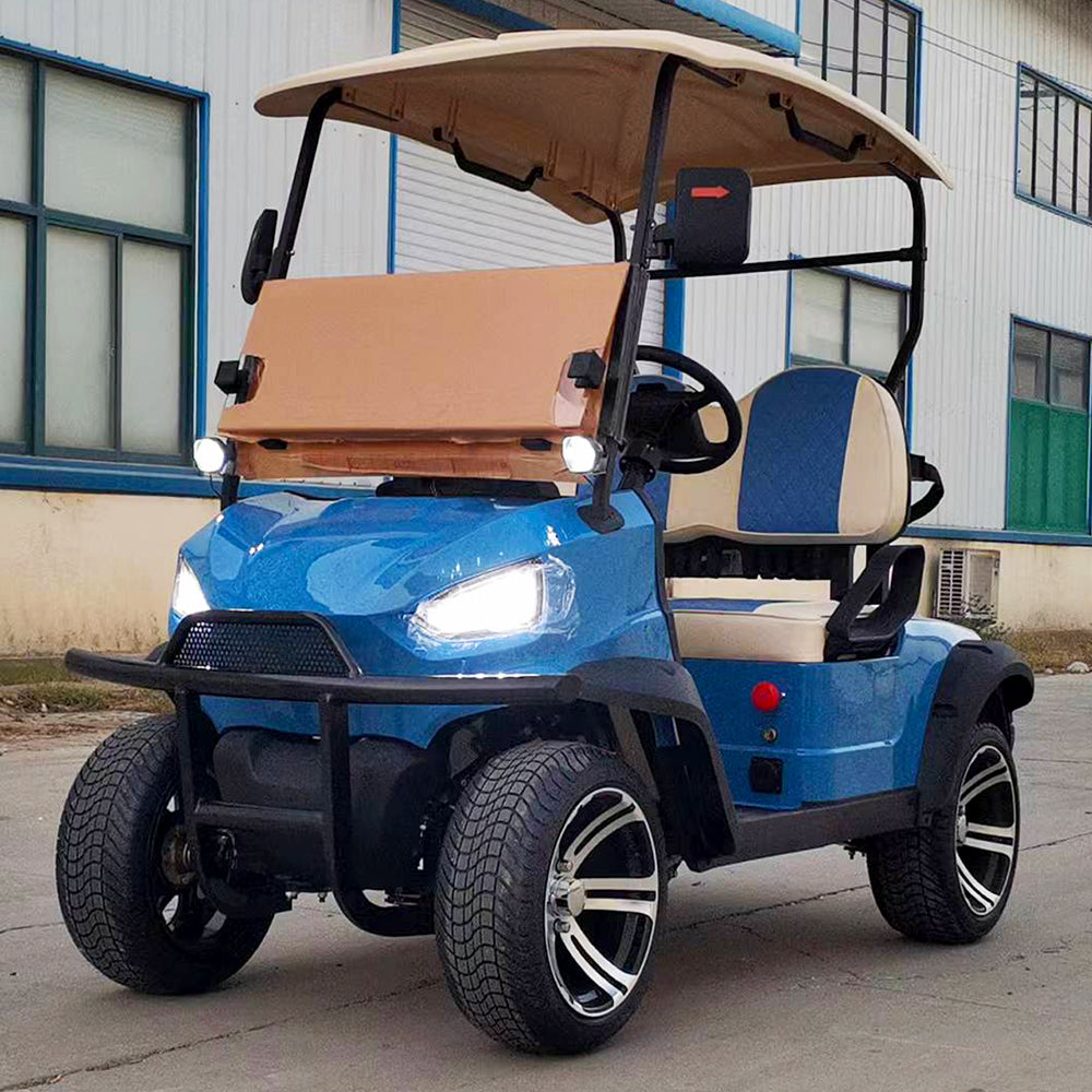 Type B 2-seater golf cart, stylish appearance, super long lithium batte.