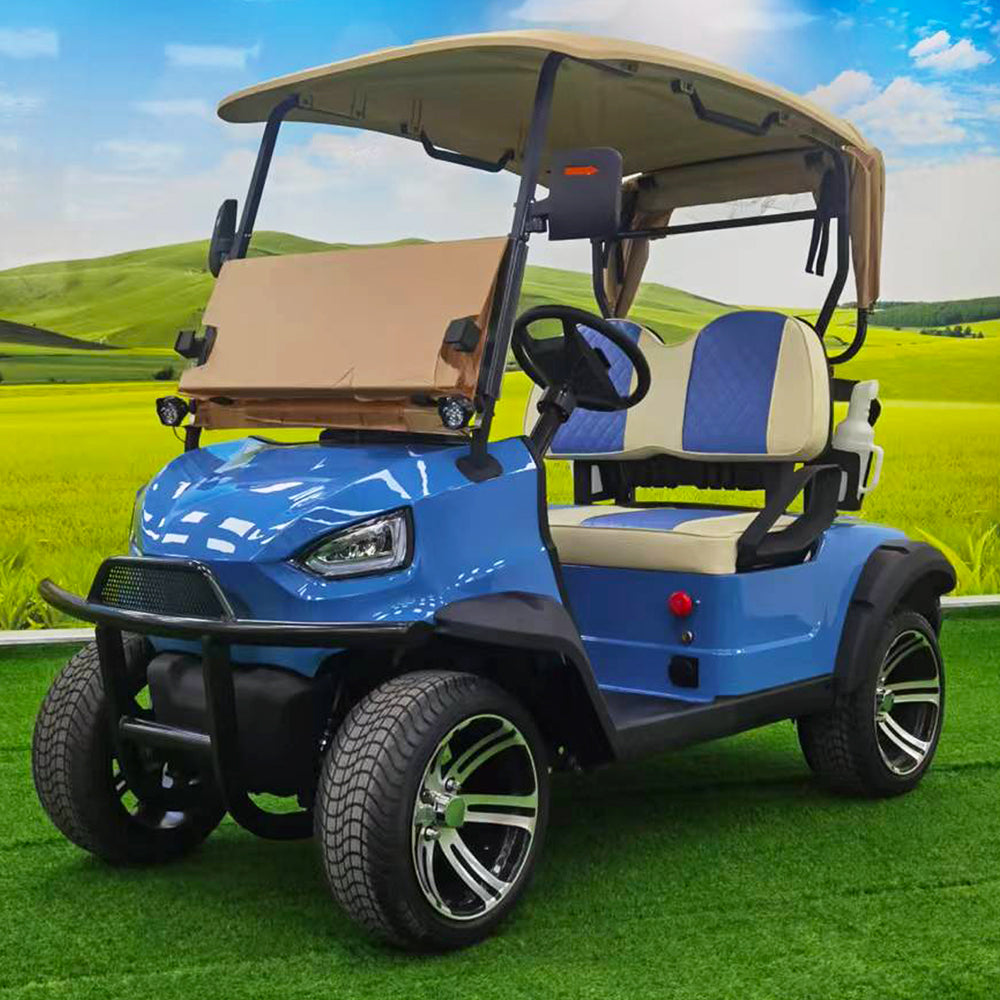 Type B 2-seater golf cart, stylish appearance, super long lithium batte.
