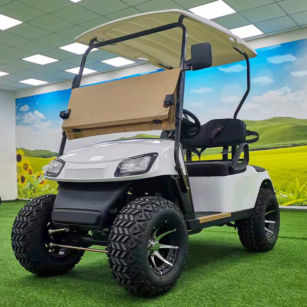 Type B 2-seater golf cart, stylish appearance, super long lithium batte.