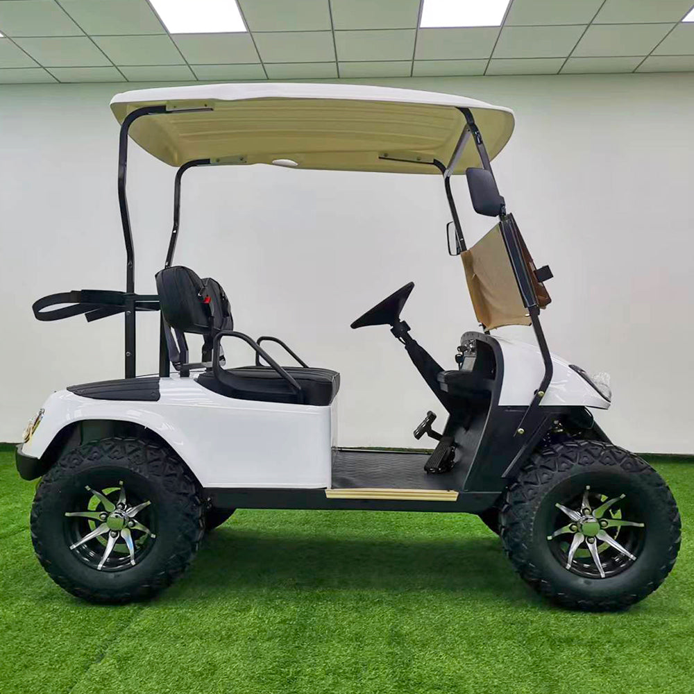 Type B 2-seater golf cart, stylish appearance, super long lithium batte.