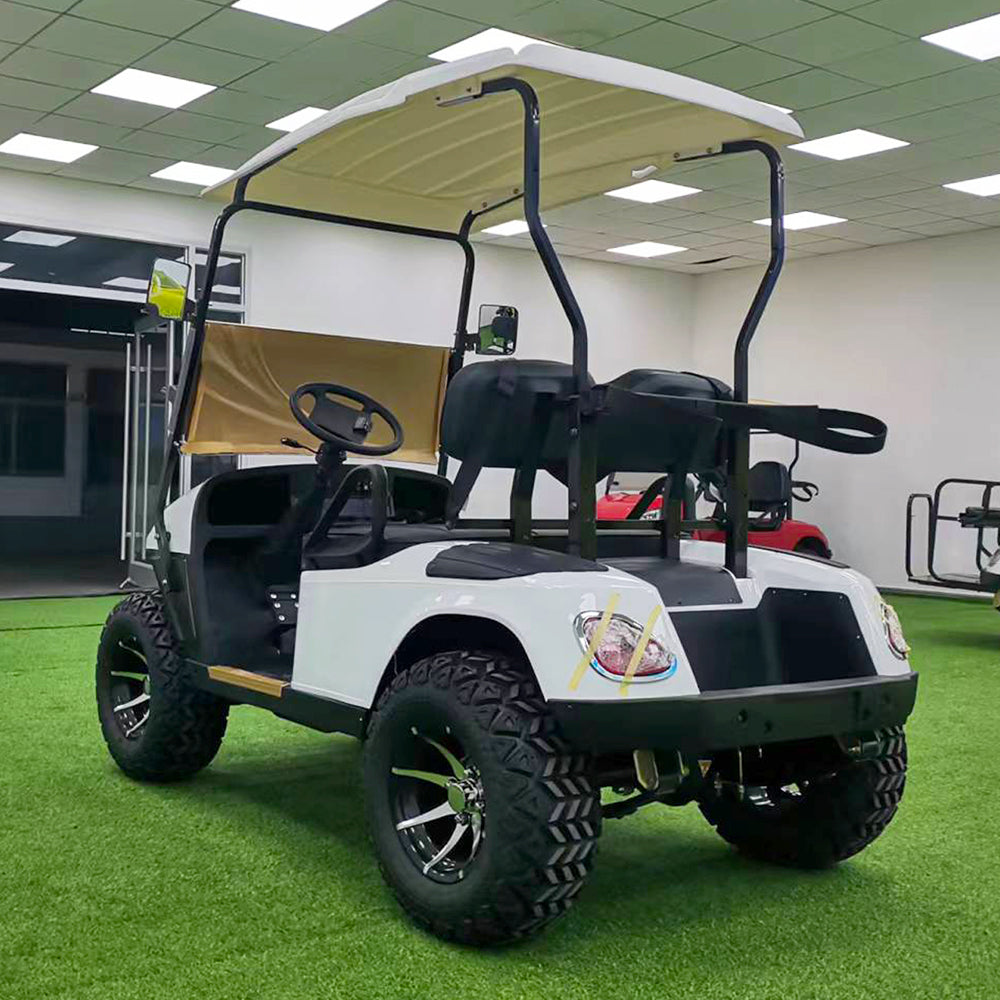 Type B 2-seater golf cart, stylish appearance, super long lithium batte.