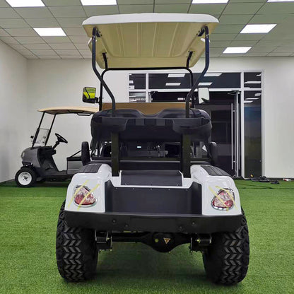 Type B 2-seater golf cart, stylish appearance, super long lithium batte.