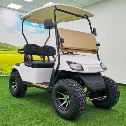 Type B 2-seater golf cart, stylish appearance, super long lithium batte.