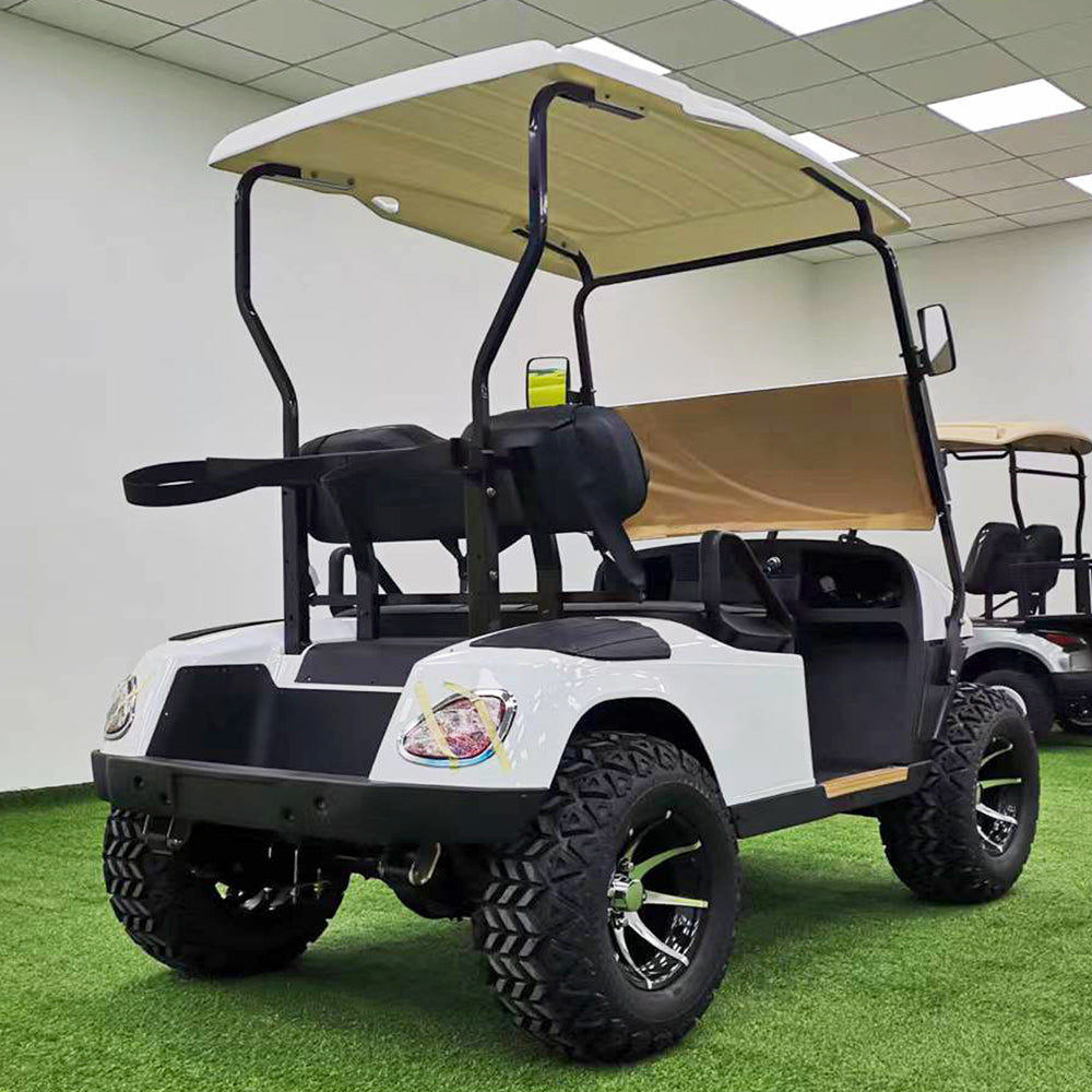 Type B 2-seater golf cart, stylish appearance, super long lithium batte.