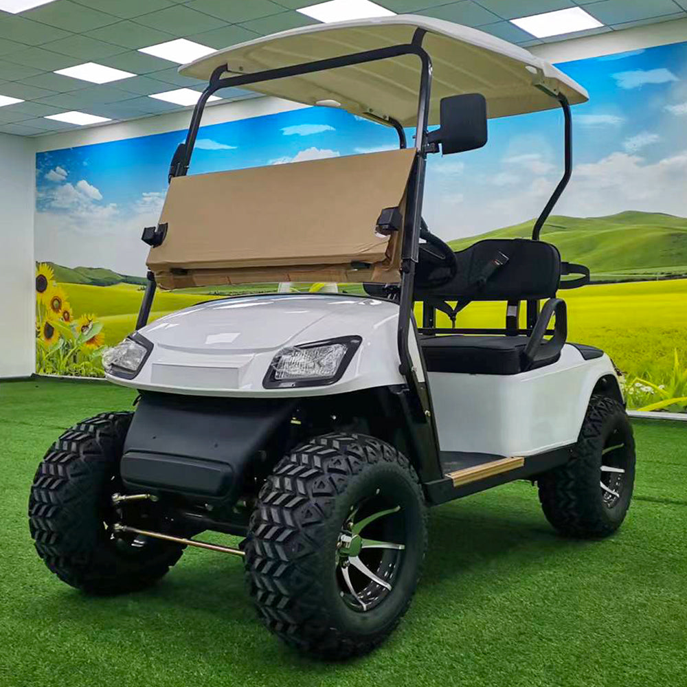 Type B 2-seater golf cart, stylish appearance, super long lithium batte.