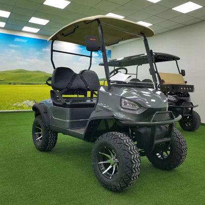 Type B 2-seater golf cart, stylish appearance, super long lithium batte.