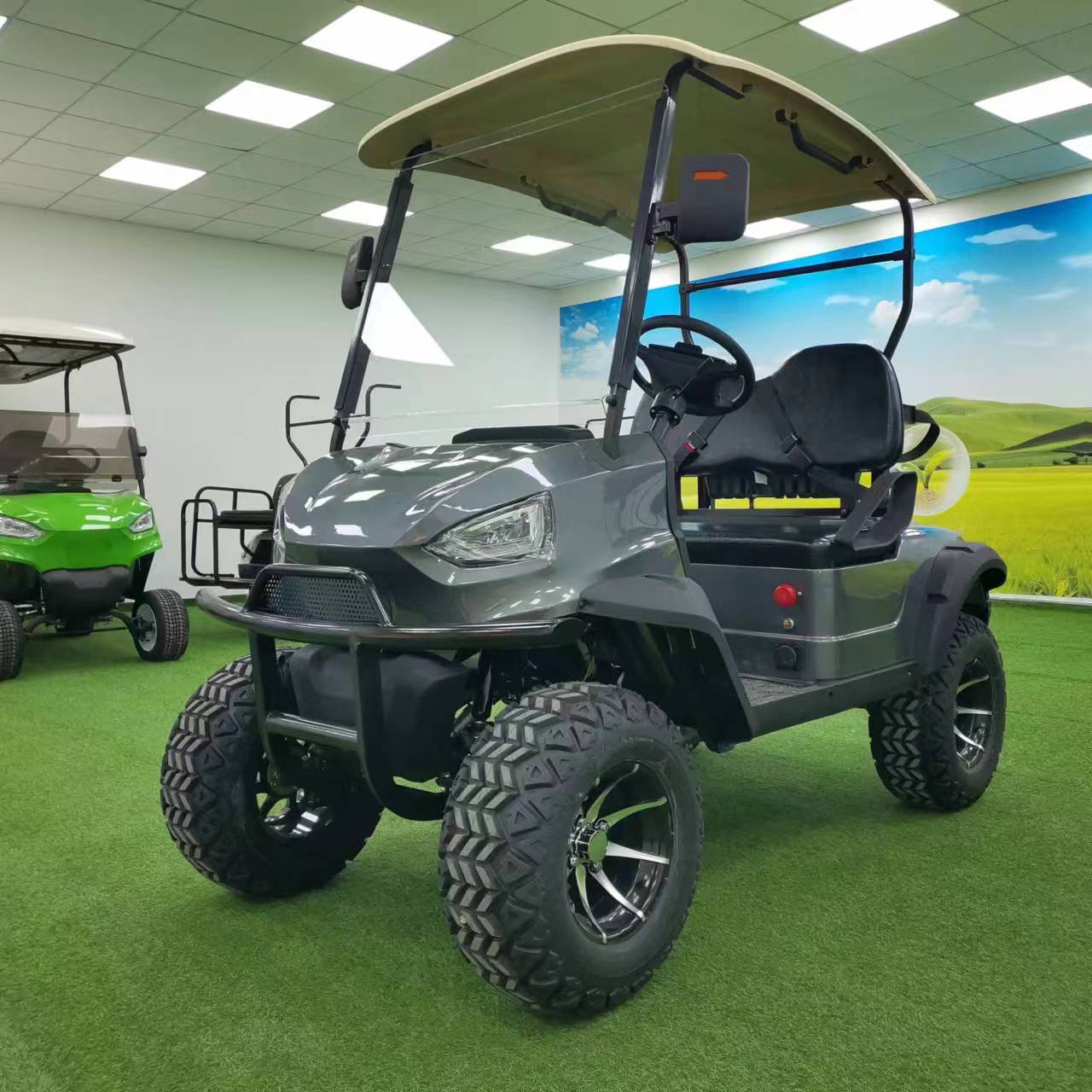 Type B 2-seater golf cart, stylish appearance, super long lithium batte.