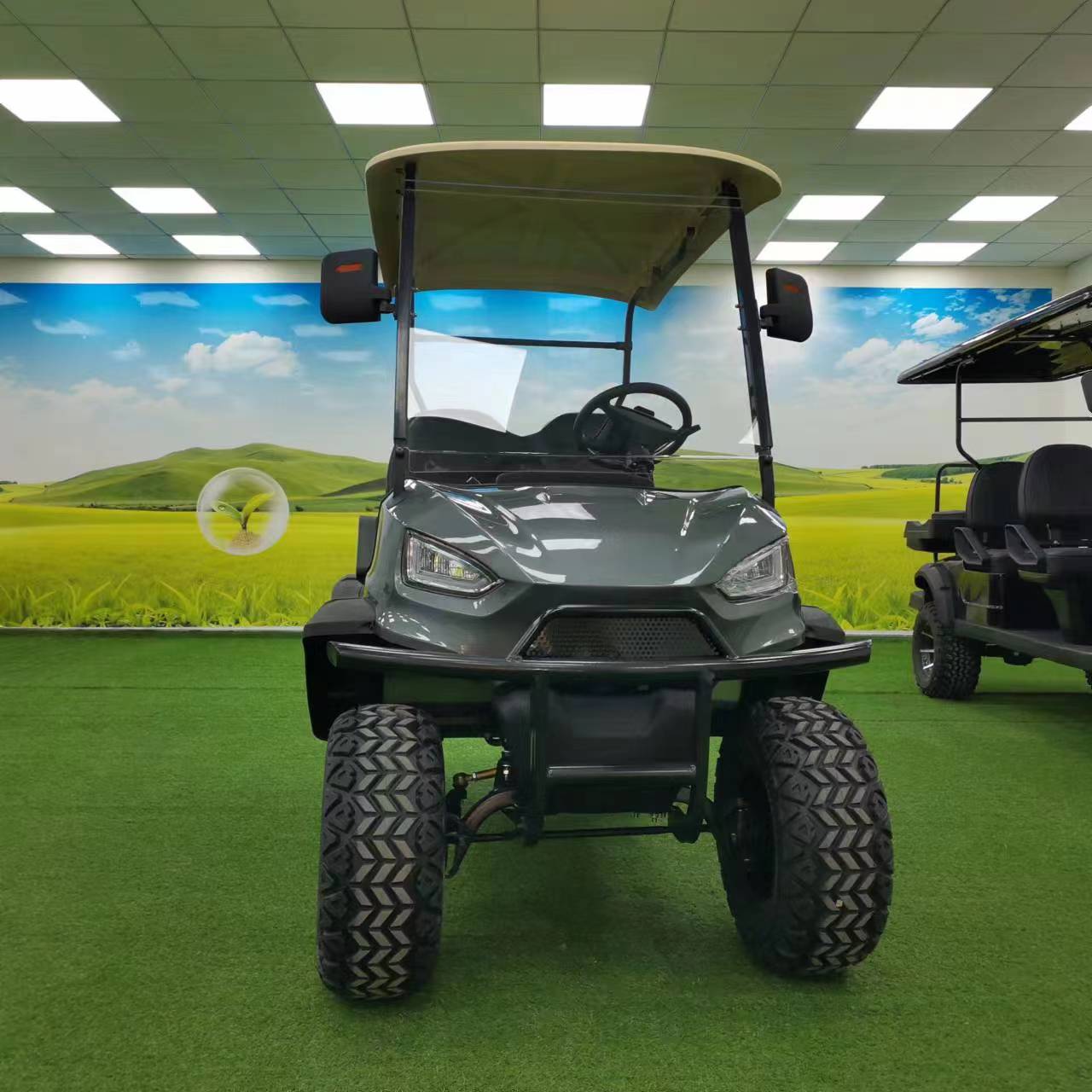 Type B 2-seater golf cart, stylish appearance, super long lithium batte.