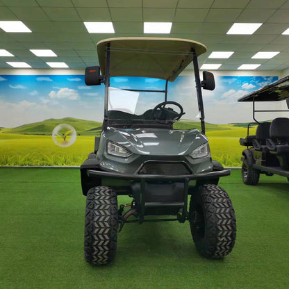 Type B 2-seater golf cart, stylish appearance, super long lithium batte.