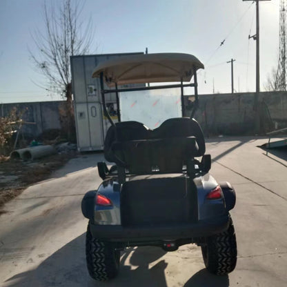 Type B 2-seater golf cart, stylish appearance, super long lithium batte.