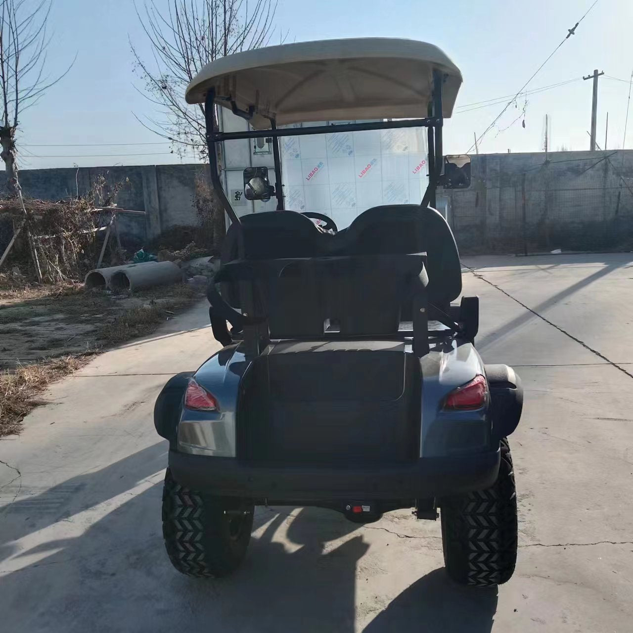 Type B 2-seater golf cart, stylish appearance, super long lithium batte.