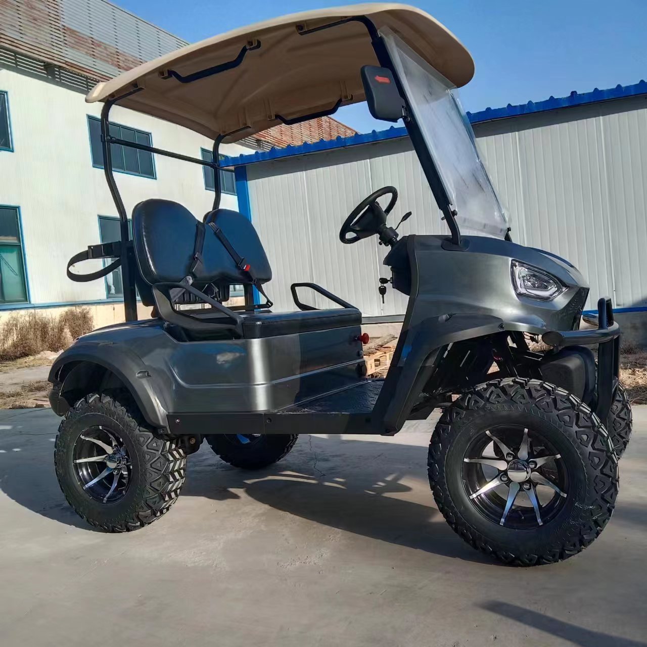 Type B 2-seater golf cart, stylish appearance, super long lithium batte.