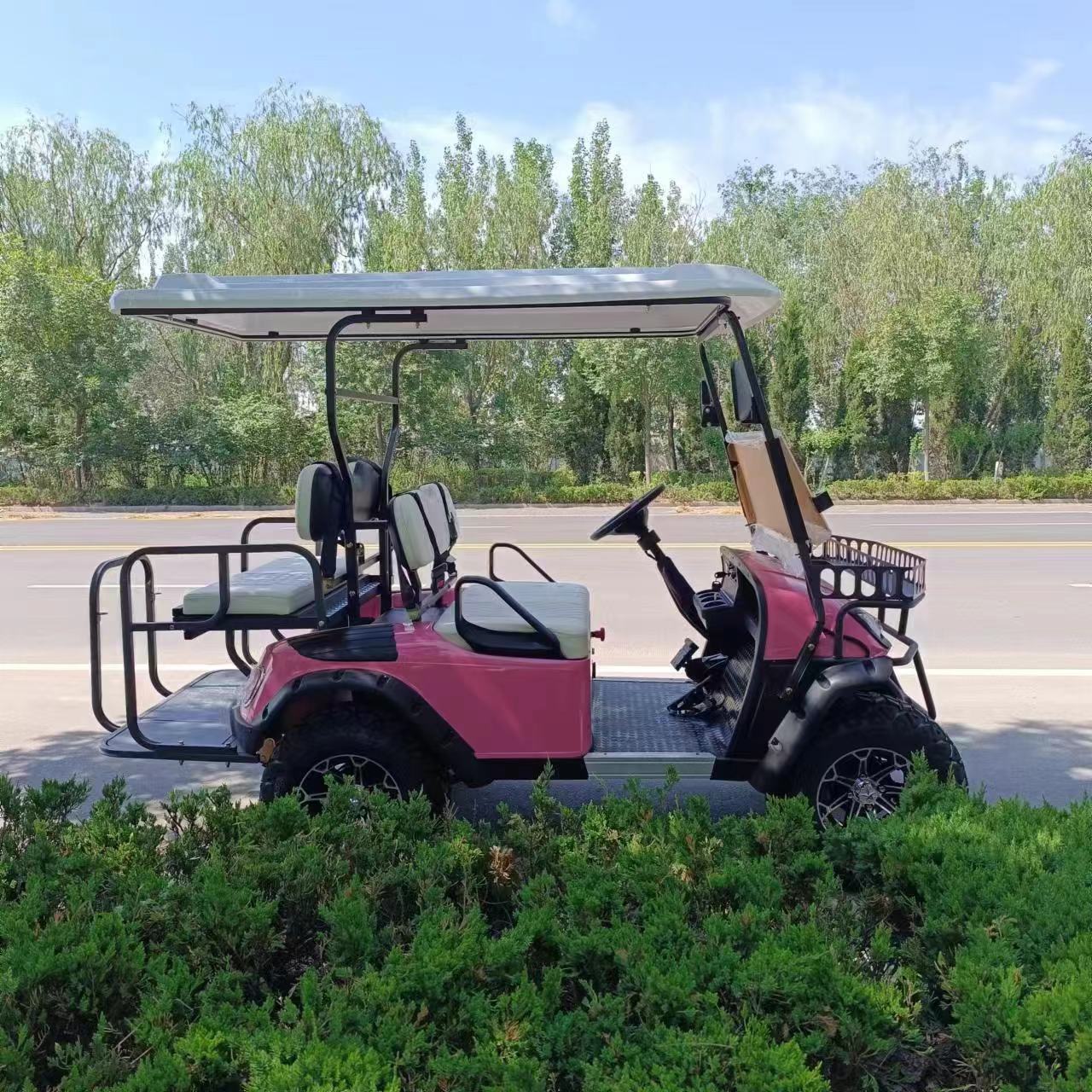 Type A 4-seater golf cart, stylish appearance, super long lithium batte