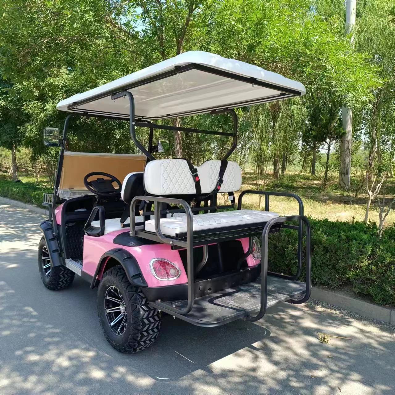 Type A 4-seater golf cart, stylish appearance, super long lithium batte