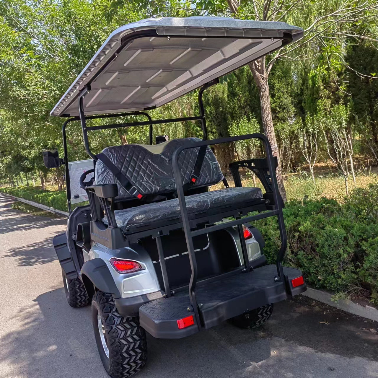 Type C 4-seater golf cart, stylish appearance, super long lithium batte.