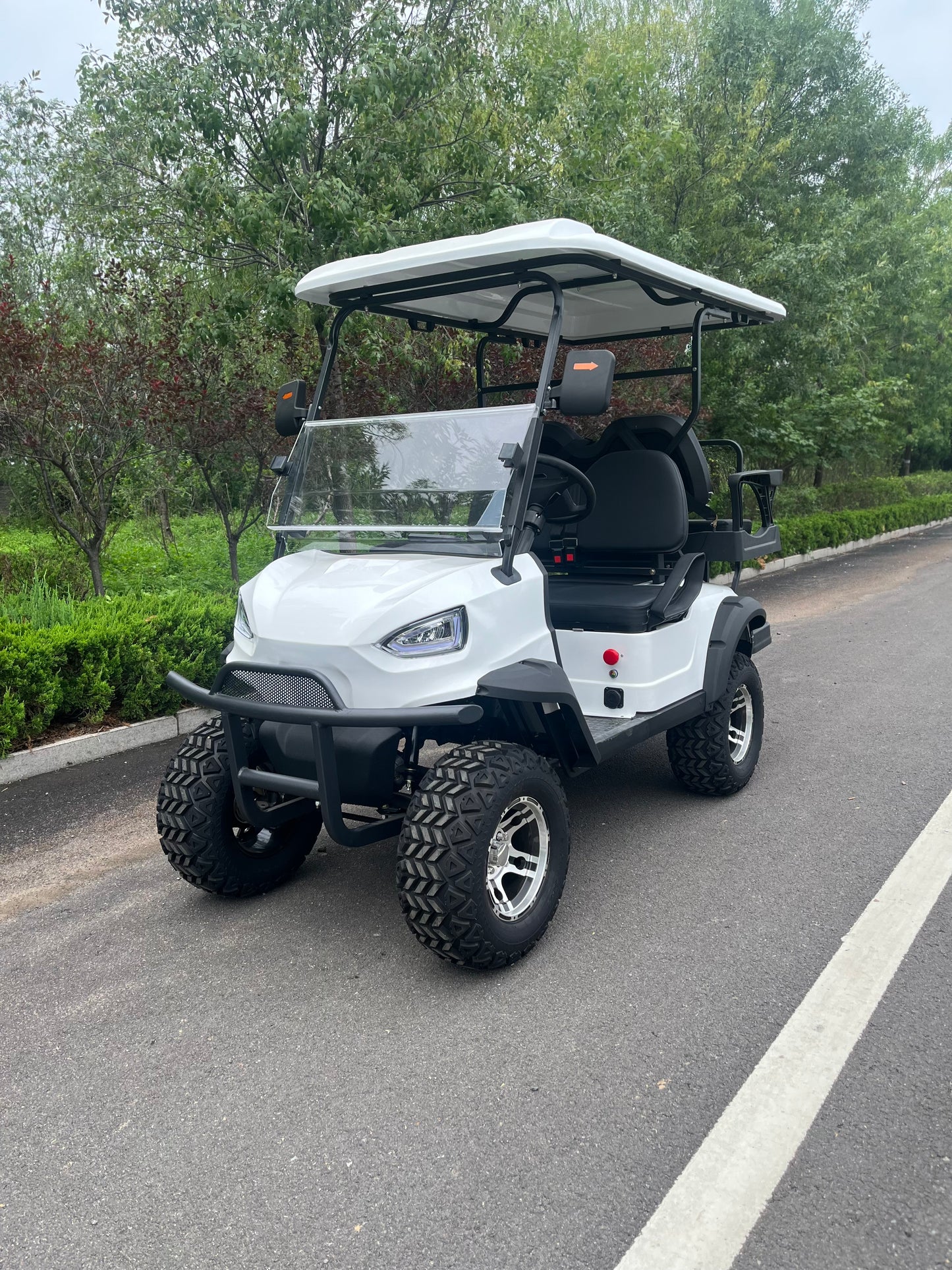 Type C 4-seater golf cart, stylish appearance, super long lithium batte.