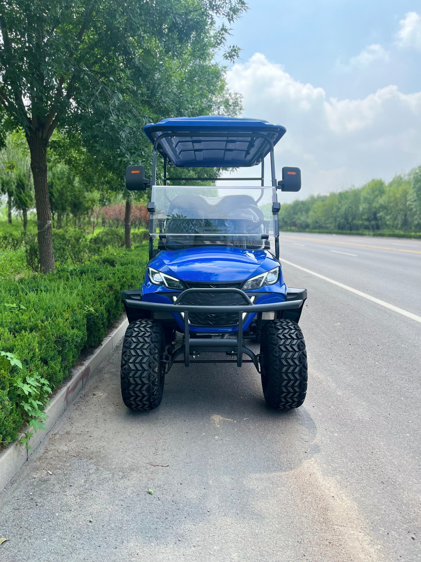 Type C 4-seater golf cart, stylish appearance, super long lithium batte.